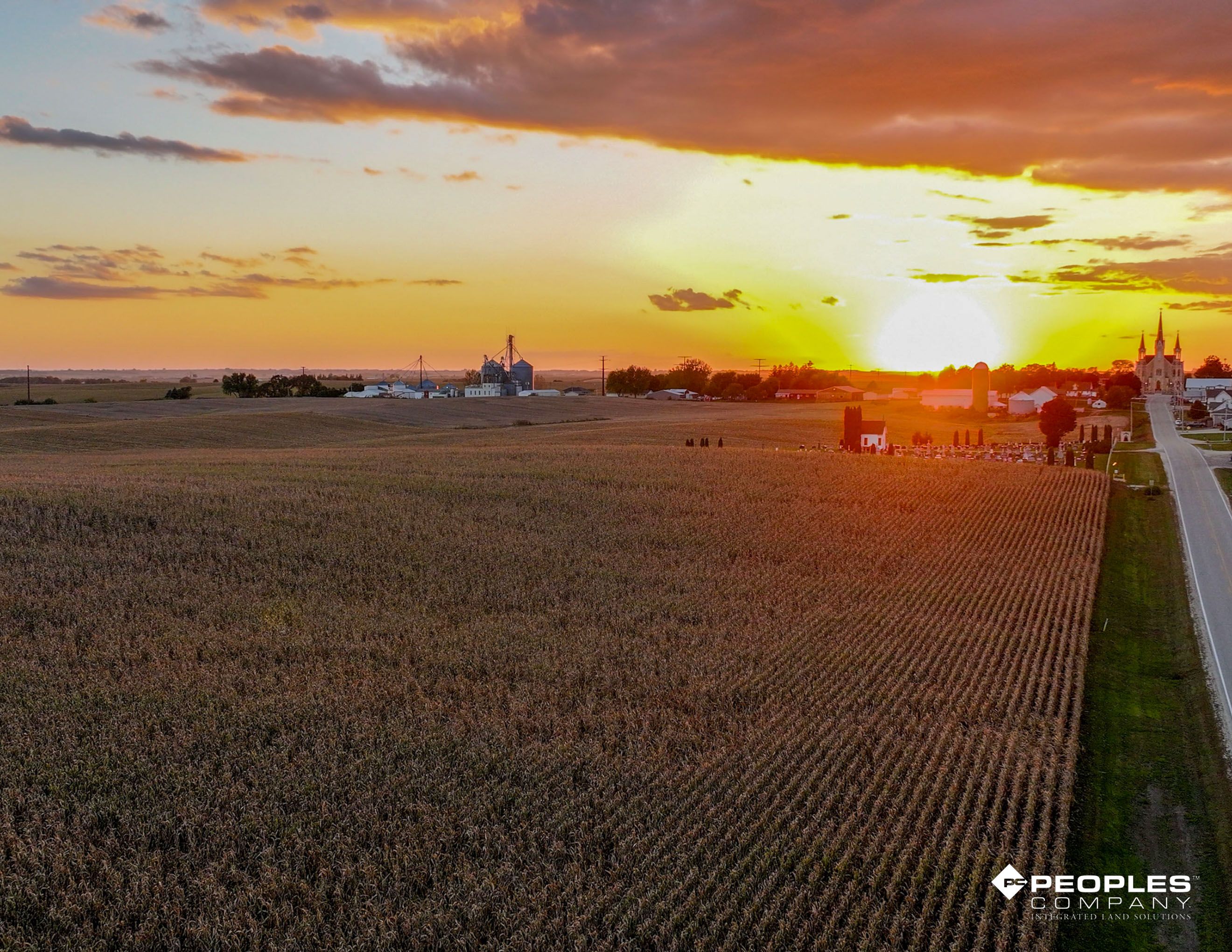 Listing Photo: Web 1